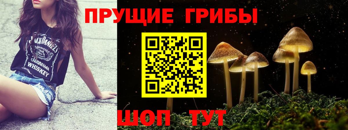 где купить наркотик  Вход с VPN  Лысьва  Галлюциногенные грибы GOLDEN TEACHER 